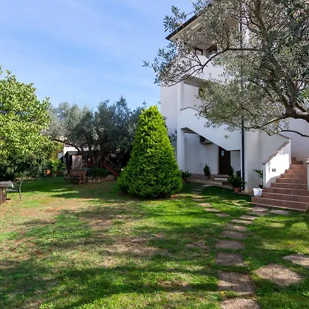 Apartamento With Parking Space - 7494